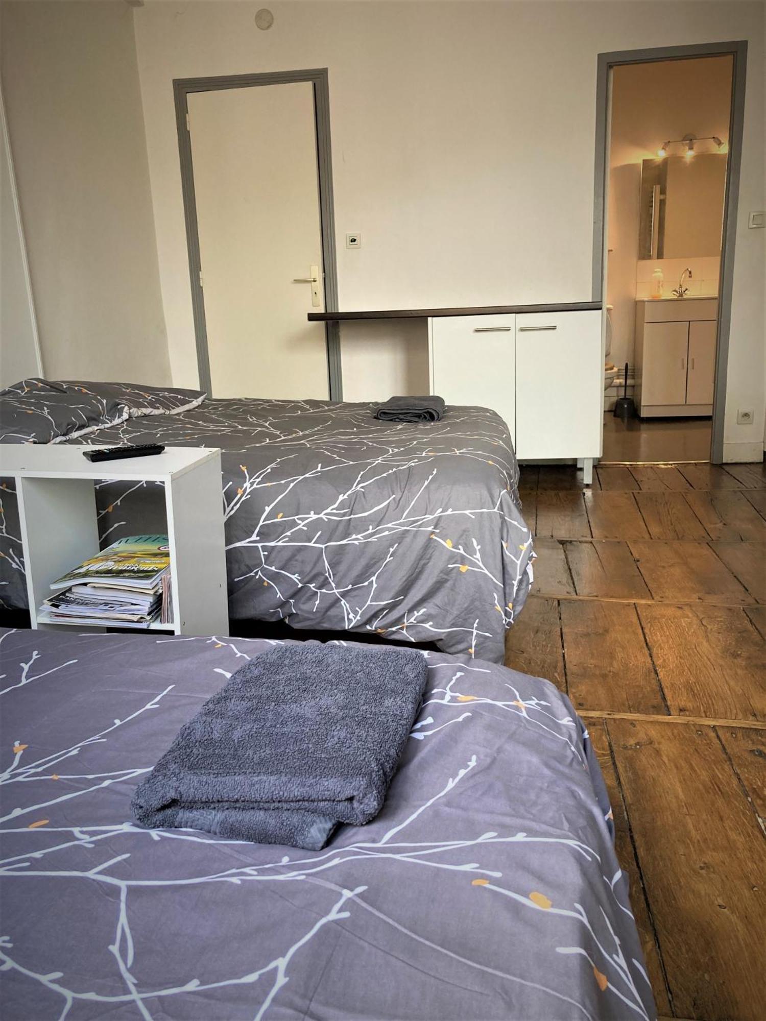Studio Double 21 Centre De Limoges Wifi Экстерьер фото